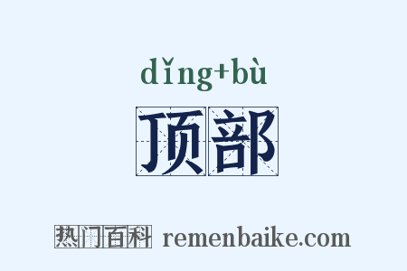 顶部是什么意思的图片
